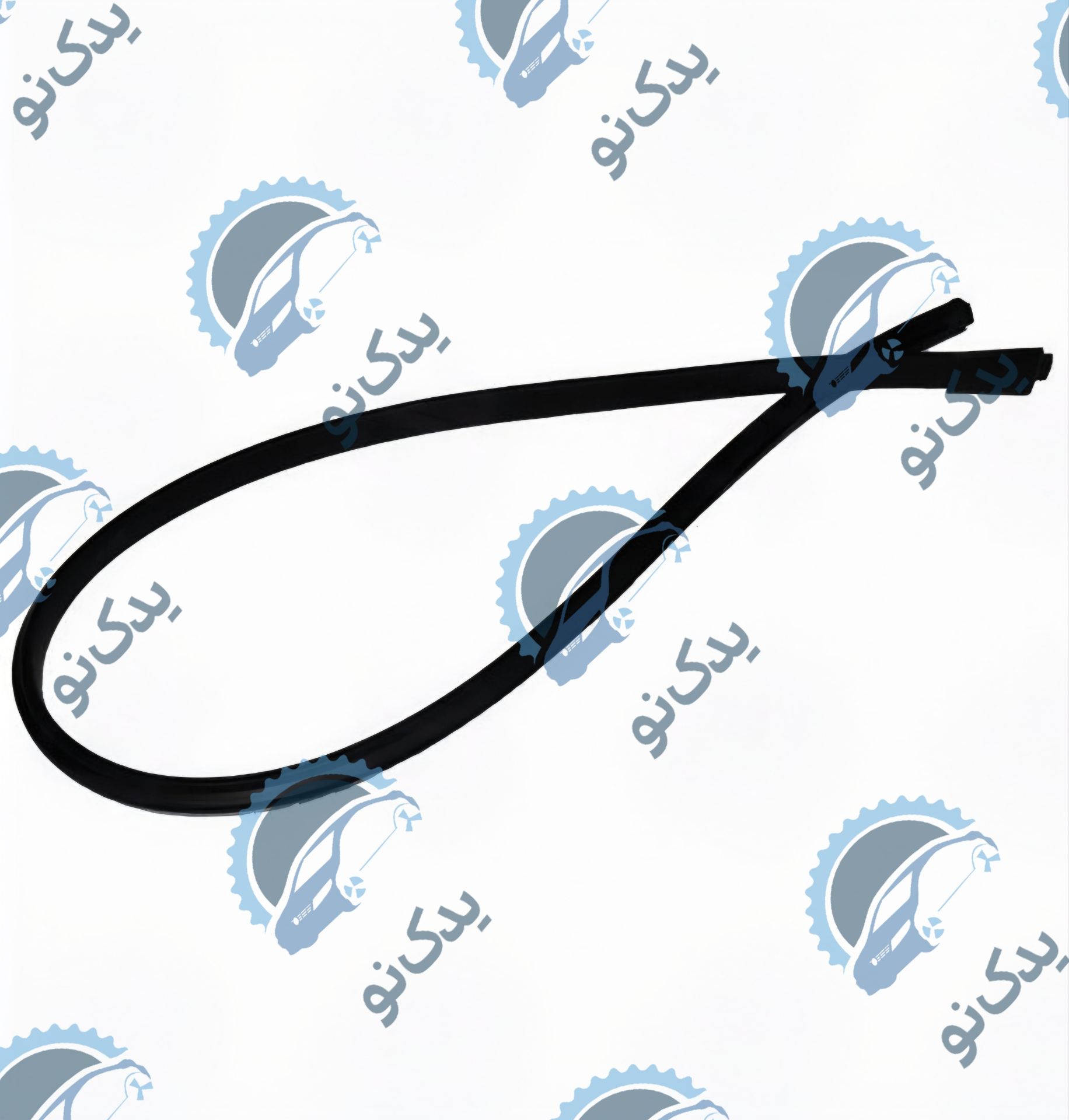 زه سقف رانا